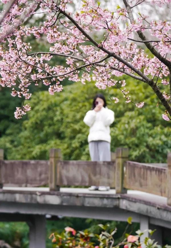 满屏预警，杭州明天早晨有霜冻，暴雨和冷空气正在排队