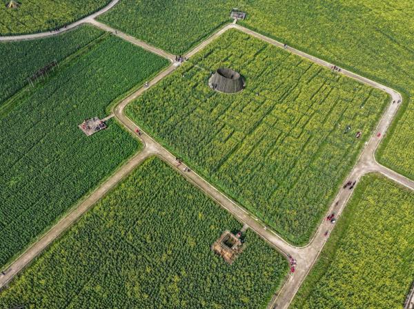 重庆璧山：油菜花开扮靓乡村