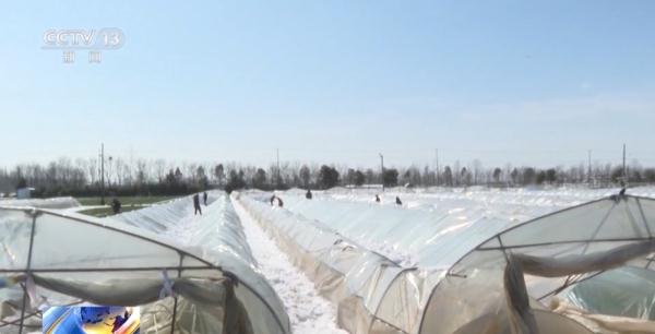 春耕备肥旺季来临 各地种子、化肥生产企业正火力全开