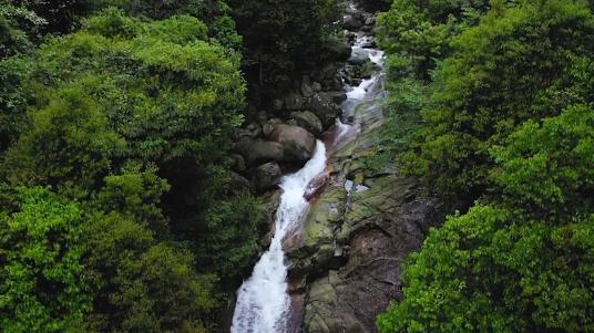 免费！半价！江西多家景区宣布