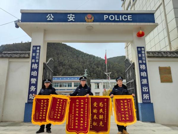 这满屏的锦旗，绝了！