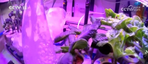 三个“非常完美”、1个首次、多个成果!点赞,神舟十七号乘组 三个“非常完美”、1个首次、多个成果!点赞,神舟十七号乘组