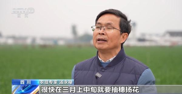 为粮食丰收打基础 各地积极抢抓农时、忙春管、备春耕