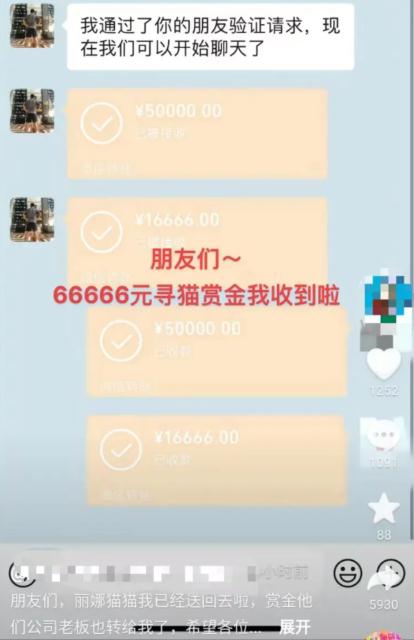 主人悬赏66666元寻猫，昆明一女生捡到，赏金已到账？各方回应→