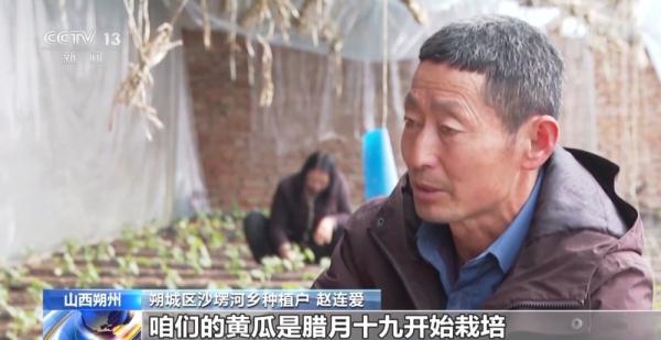 为粮食丰收打基础 各地积极抢抓农时、忙春管、备春耕