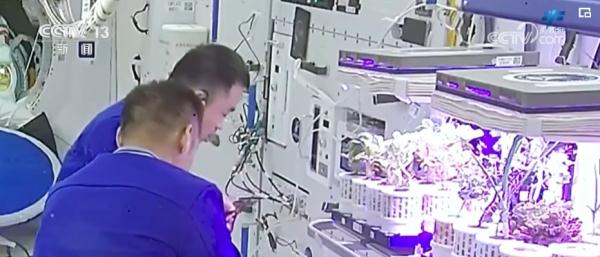 三个“非常完美”、1个首次、多个成果!点赞,神舟十七号乘组 三个“非常完美”、1个首次、多个成果!点赞,神舟十七号乘组