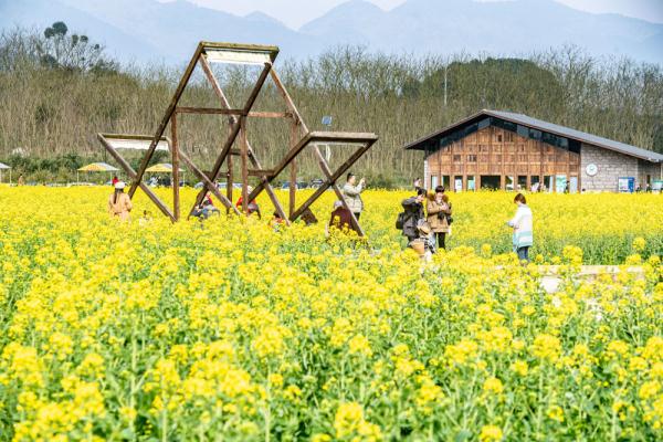 重庆璧山：油菜花开扮靓乡村