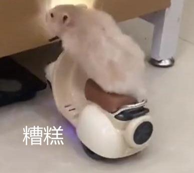 男子骑电动车摔倒后躺卧在地！还好有“它”！