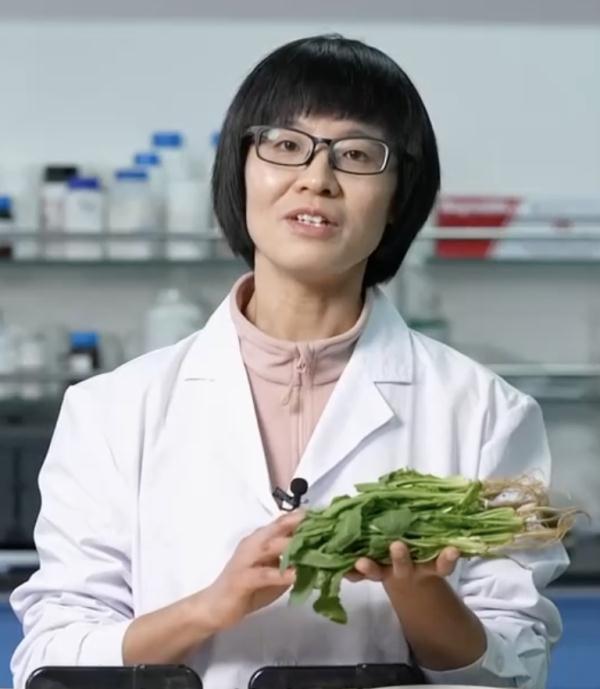 这5种野菜千万别吃，转告家里的老人，别再当成“宝”了！