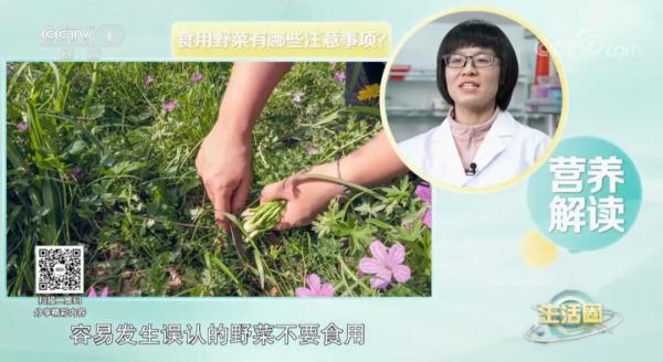 这5种野菜千万别吃，转告家里的老人，别再当成“宝”了！
