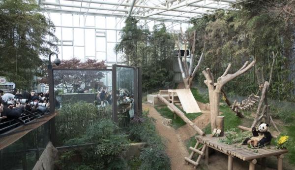 大熊猫“福宝”在韩国最后一次公开亮相