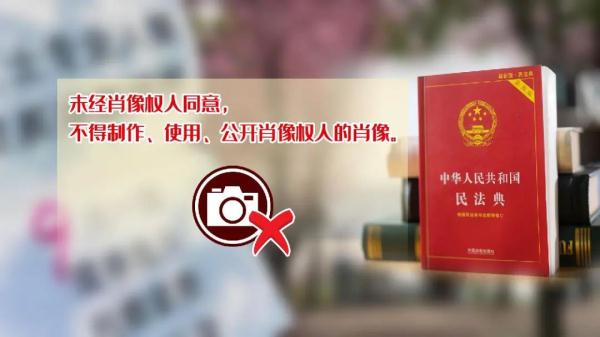 上海樱花盛放最佳赏花期已到！但这个老问题能解决吗？