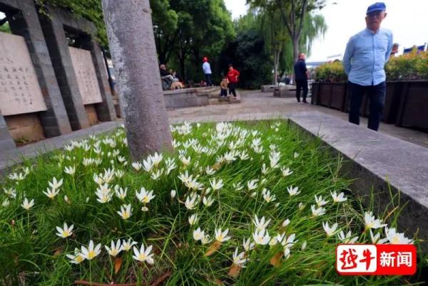 杭州网友爆料：一不小心挖到宝