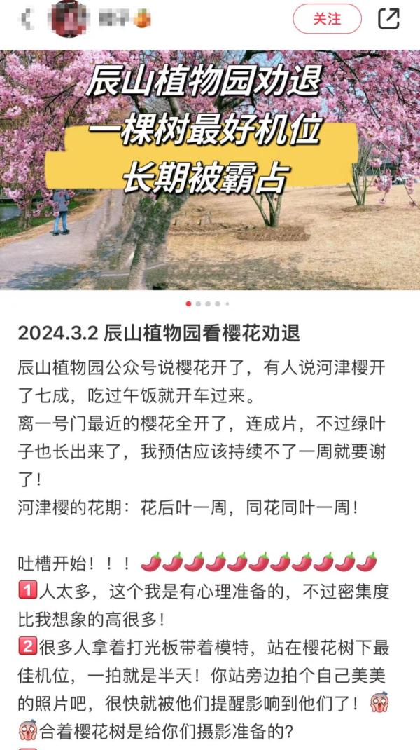 上海樱花盛放!又见“树霸拍摄”,网友吐槽:挺好看的树下“长”满了人…… 上海樱花盛放!又见“树霸拍摄”,网友吐槽:挺好看的树下“长”满了人……