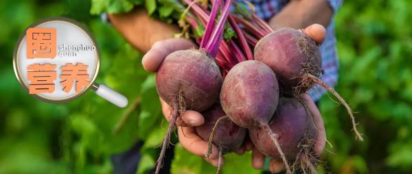 这5种野菜千万别吃，转告家里的老人，别再当成“宝”了！