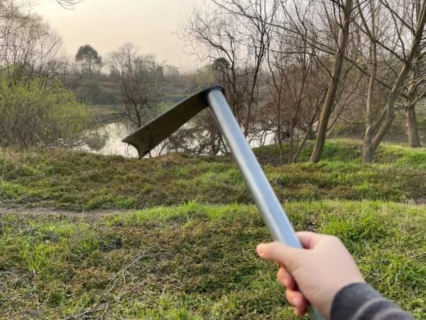 杭州网友爆料：一不小心挖到宝
