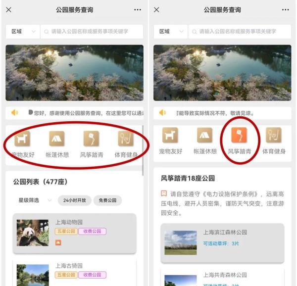 全上海关注！双子山官宣，下半年即将开放→