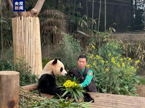 “顶流明星”即将回家!数千民众前往送别 “顶流明星”即将回家!数千民众前往送别