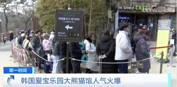 “顶流明星”即将返回中国！韩国民众排队近4小时，只为再见一面