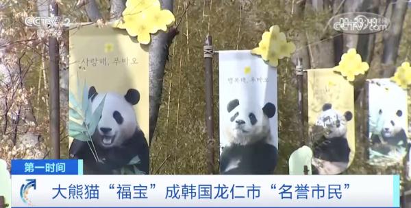 “顶流明星”即将返回中国！韩国民众排队近4小时，只为再见一面