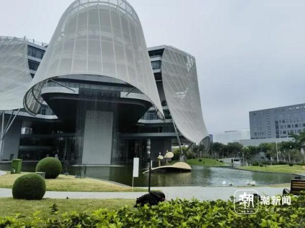寸土寸金的摩天大楼间建起鸟类保护区,这座城市图什么? 寸土寸金的摩天大楼间建起鸟类保护区,这座城市图什么?