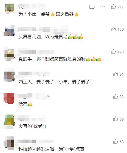 这只"鸟"，得～放～慢～看