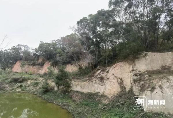 寸土寸金的摩天大楼间建起鸟类保护区,这座城市图什么? 寸土寸金的摩天大楼间建起鸟类保护区,这座城市图什么?