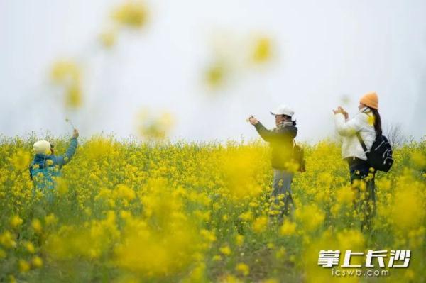 降温降雨！冷空气提前抵达长沙！