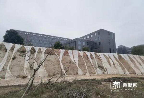 寸土寸金的摩天大楼间建起鸟类保护区,这座城市图什么? 寸土寸金的摩天大楼间建起鸟类保护区,这座城市图什么?