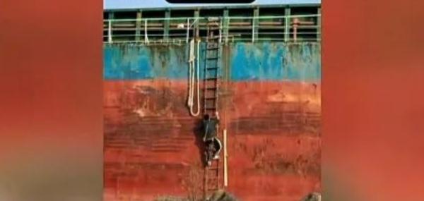 危险！废弃船只成网红打卡地，上海有关部门：栈板绳梯已撤，将拖离