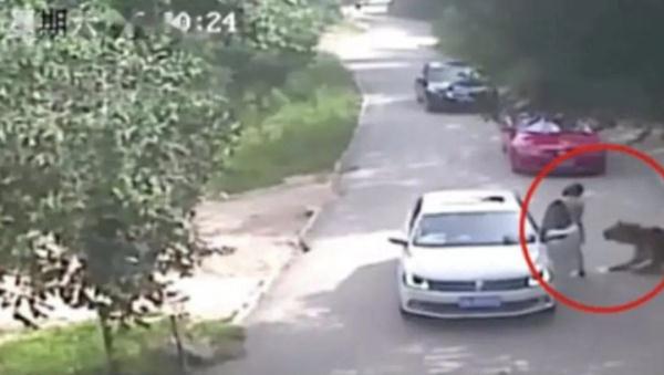 “狼来了”!野生动物园内妈妈竟擅自抱孩子下车,就为了…… “狼来了”!野生动物园内妈妈竟擅自抱孩子下车,就为了……