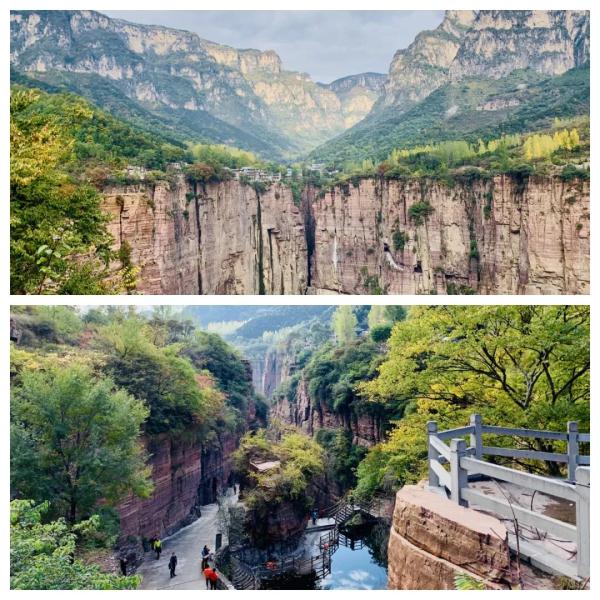 女士免票！男士半价！三月新乡南太行山桃花海等你来