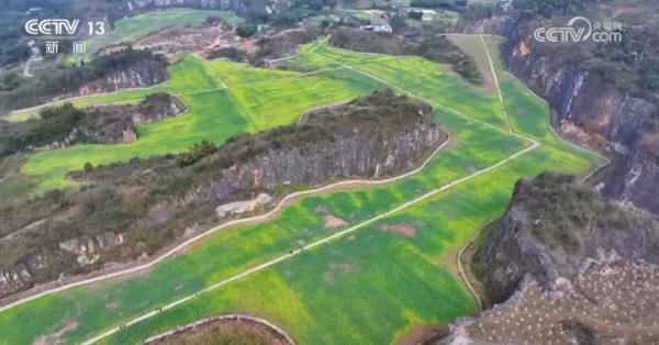 春日盛景画卷繁花似锦醉游人 春天里的中国“万紫千红”振奋人心 春日盛景画卷繁花似锦醉游人 春天里的中国“万紫千红”振奋人心
