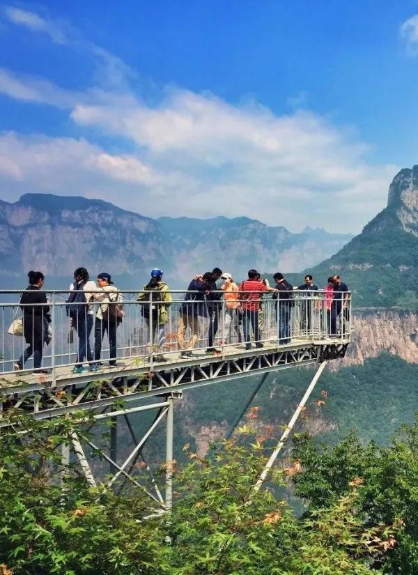 女士免票！男士半价！三月新乡南太行山桃花海等你来