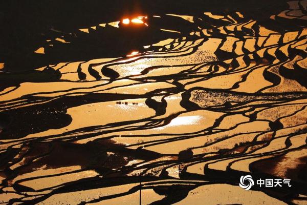 云南元阳梯田如镜 云海缭绕气象万千