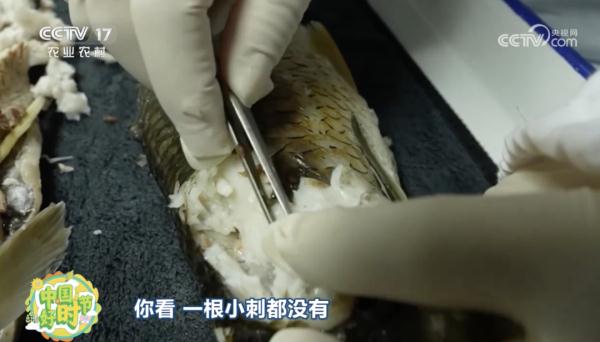 “无刺”草鱼来了!口感怎么样? “无刺”草鱼来了!口感怎么样?