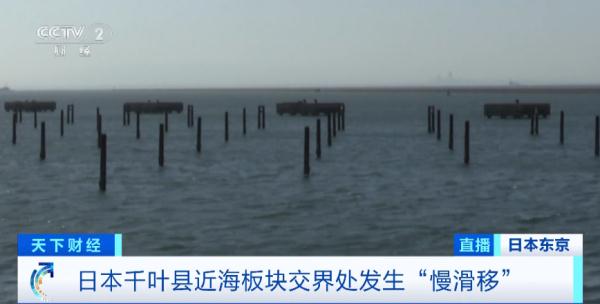 6天，28次有感地震！日本30年内7级地震概率达70%？或导致23000人死亡？