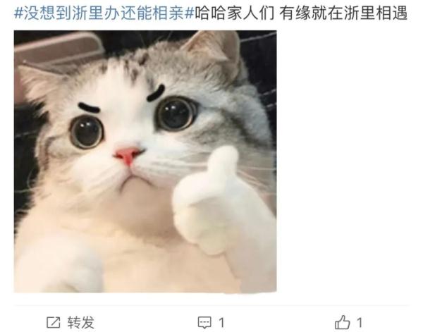 上大分！“浙里办”真能相亲，网友：我的男朋友有着落了