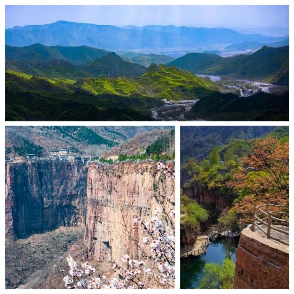 女士免票！男士半价！三月新乡南太行山桃花海等你来