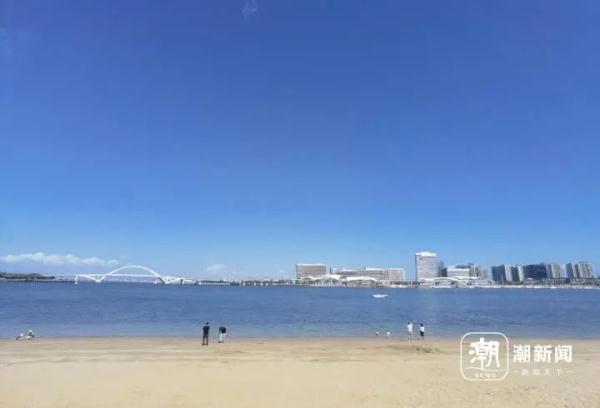 寸土寸金的摩天大楼间建起鸟类保护区,这座城市图什么? 寸土寸金的摩天大楼间建起鸟类保护区,这座城市图什么?