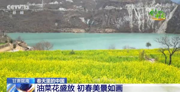 春日盛景画卷繁花似锦醉游人 春天里的中国“万紫千红”振奋人心 春日盛景画卷繁花似锦醉游人 春天里的中国“万紫千红”振奋人心