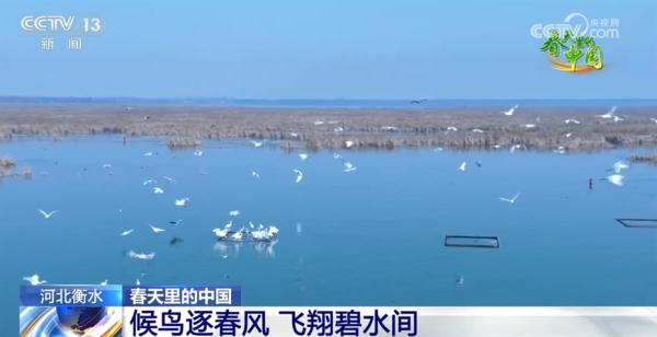 春日盛景画卷繁花似锦醉游人 春天里的中国“万紫千红”振奋人心 春日盛景画卷繁花似锦醉游人 春天里的中国“万紫千红”振奋人心