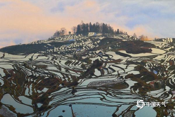 云南元阳梯田如镜 云海缭绕气象万千