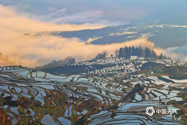 云南元阳梯田如镜 云海缭绕气象万千