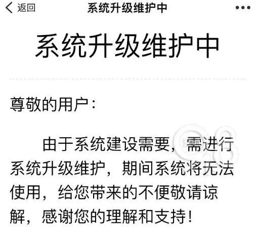 上大分！“浙里办”真能相亲，网友：我的男朋友有着落了