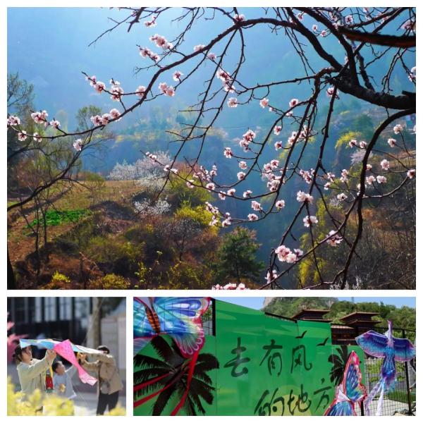 女士免票！男士半价！三月新乡南太行山桃花海等你来