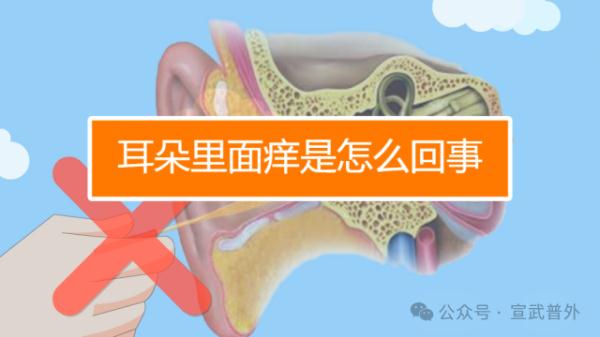 不用脱衣服的高潮——掏耳朵