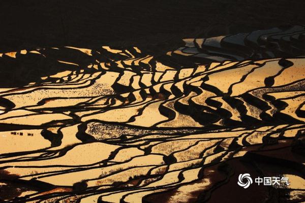 云南元阳梯田如镜 云海缭绕气象万千