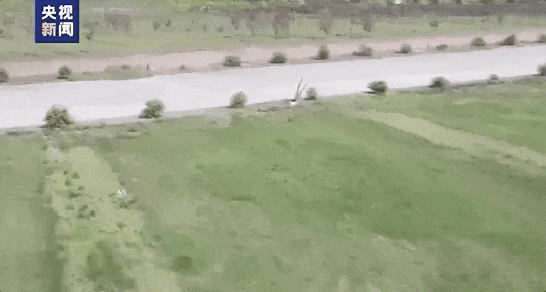 这只"鸟"，得～放～慢～看