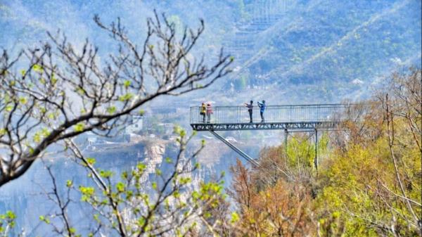 女士免票！男士半价！三月新乡南太行山桃花海等你来
